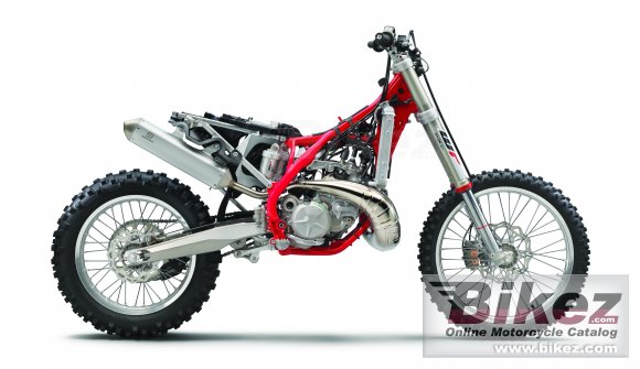 2021 GAS GAS EC 300 