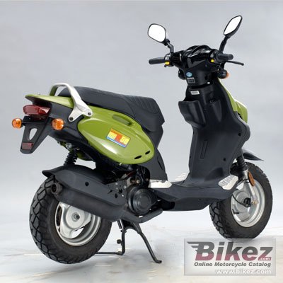 2008 Genuine Scooter Roughhouse R50 rated