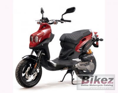 2010 Genuine Scooter Rattler 110 rated