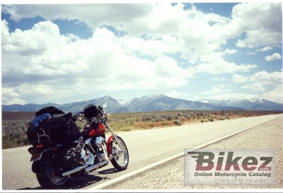 1986 Harley-Davidson FXST 1340 Softail Custom
