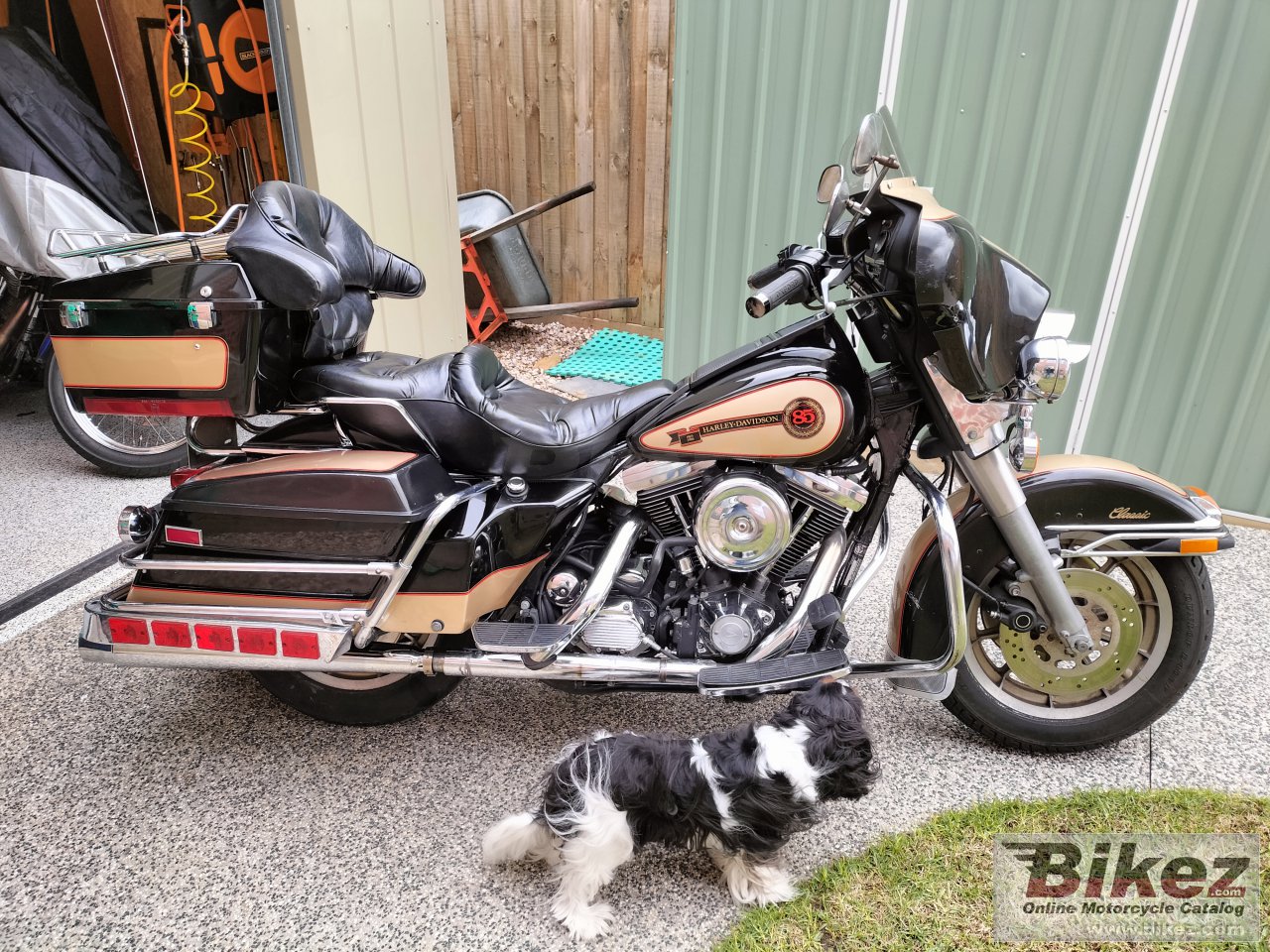 Harley-Davidson FLHTC 1340 Electra Glide Classic