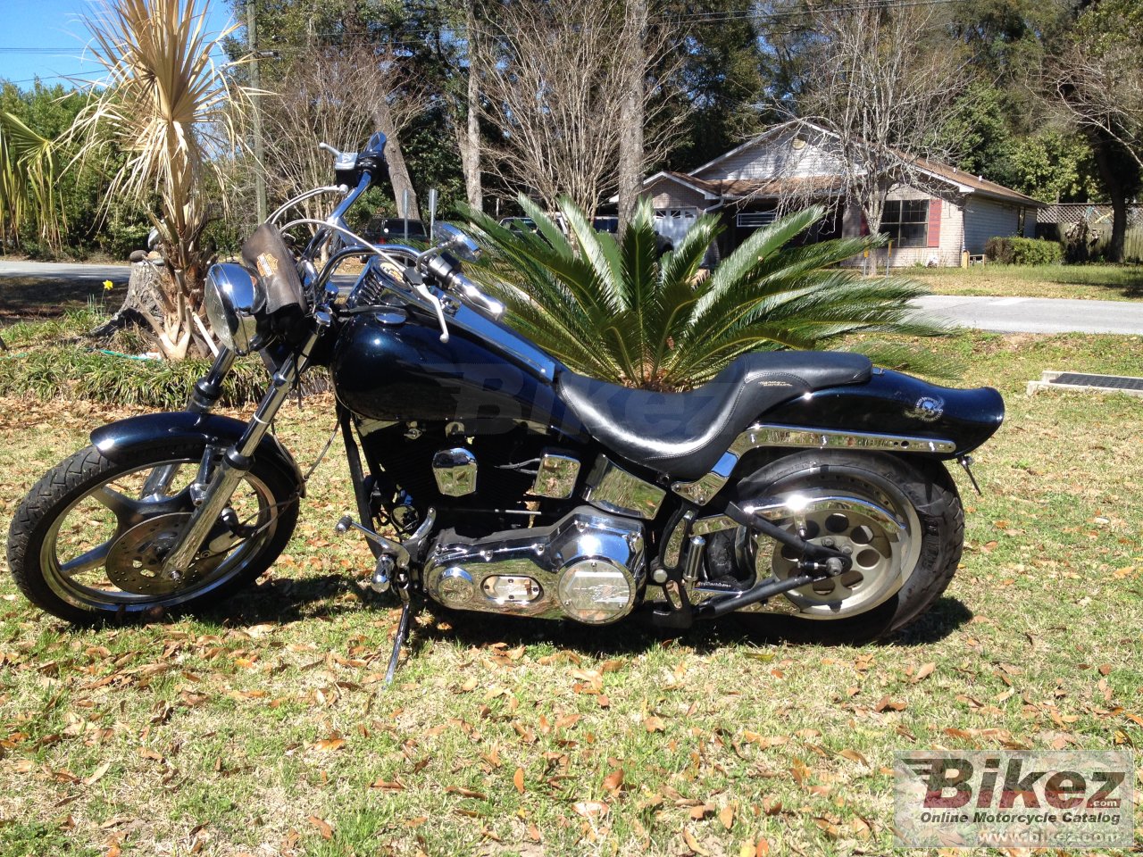 Harley-Davidson FXSTC 1340 Softail Custom