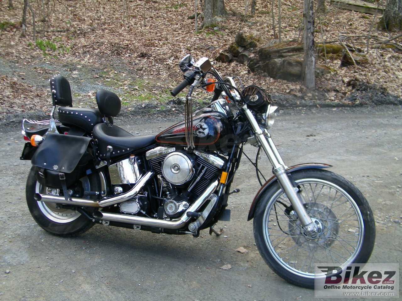 Harley-Davidson FXSTC 1340 Softail Custom