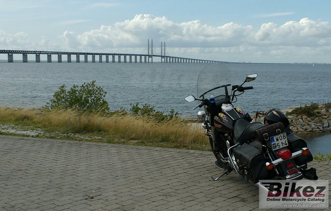 Harley-Davidson FLHS 1340 Electra Glide Sport