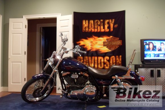 1993 Harley-Davidson 1340 Low Rider Custom