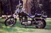 1998 Harley-Davidson Dyna Wide Glide