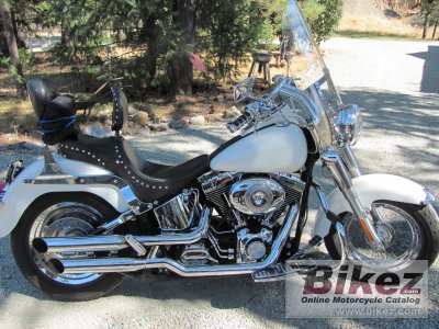 2000 Harley-Davidson FLSTF Fat Boy