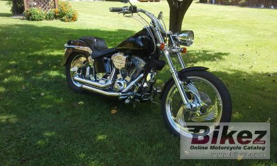 2000 Harley-Davidson FLSTF Fat Boy
