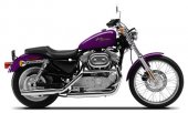 2001 Harley-Davidson Sportster Custom 883