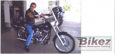 2002 Harley-Davidson FXSTD Softail Deuce