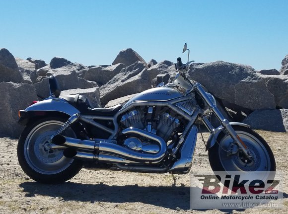 2002 Harley-Davidson VRSCA V-Rod