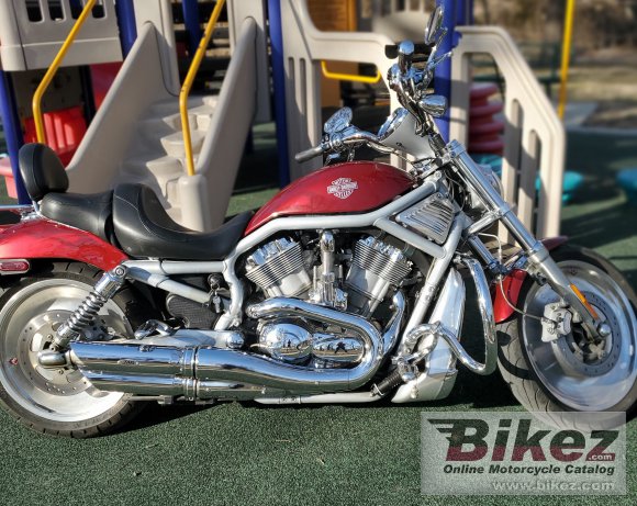 2002 Harley-Davidson VRSCA V-Rod