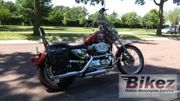 2002 Harley-Davidson XL 1200 C Sportster 1200 Custom