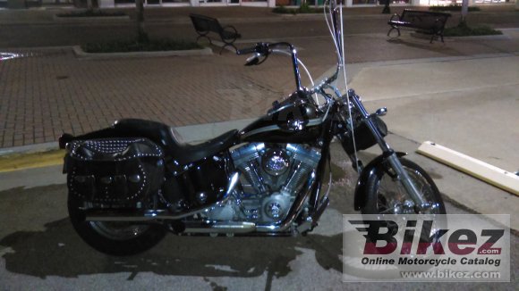 2003 Harley-Davidson FXST Softail Standard