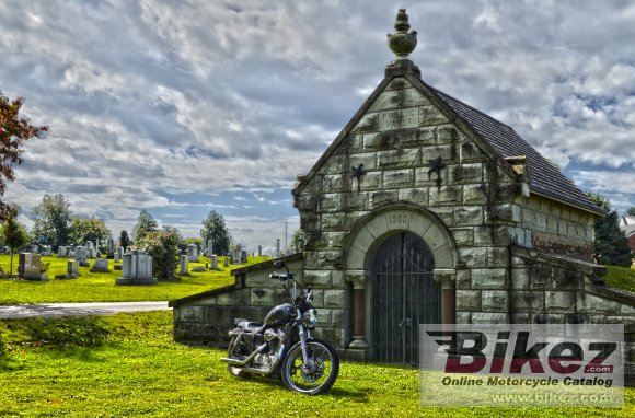 2004 Harley-Davidson XL 1200 C Sportster Custom