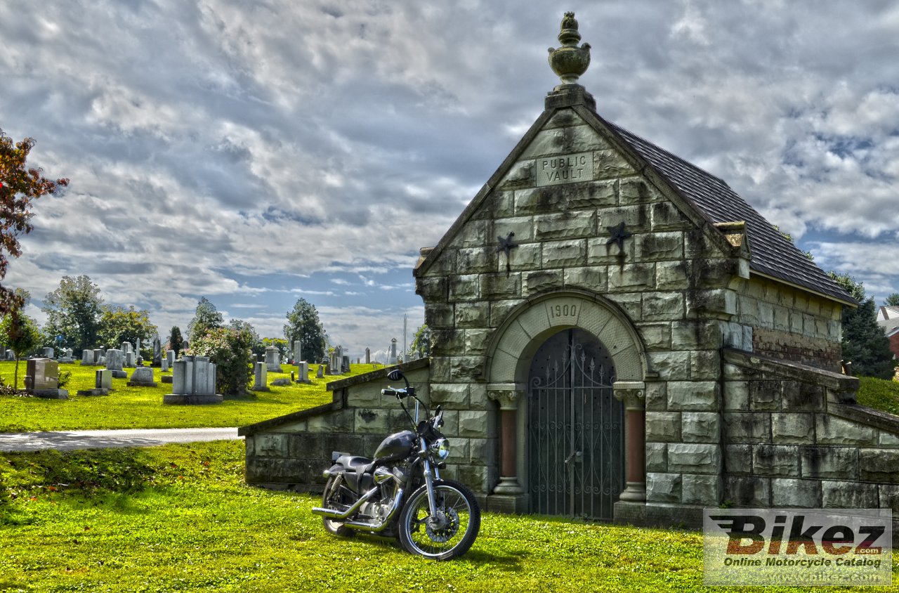 Harley-Davidson XL 1200 C Sportster Custom