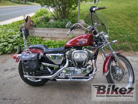 2004 Harley-Davidson XL 1200 C Sportster Custom