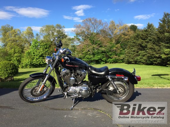 2004 Harley-Davidson XL 1200 C Sportster Custom