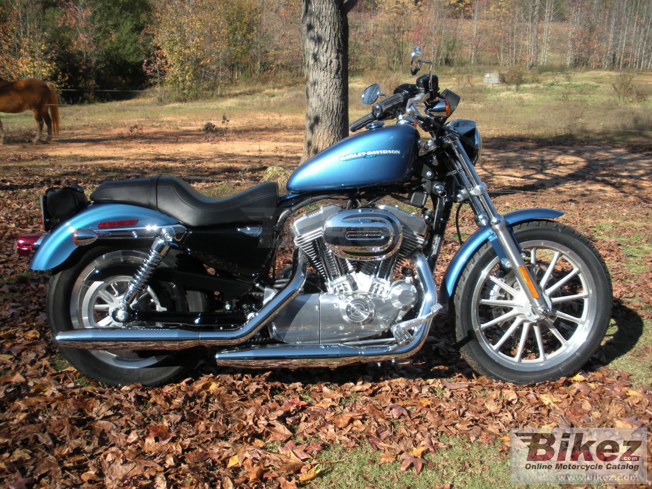 Harley-Davidson XL 883 Sportster