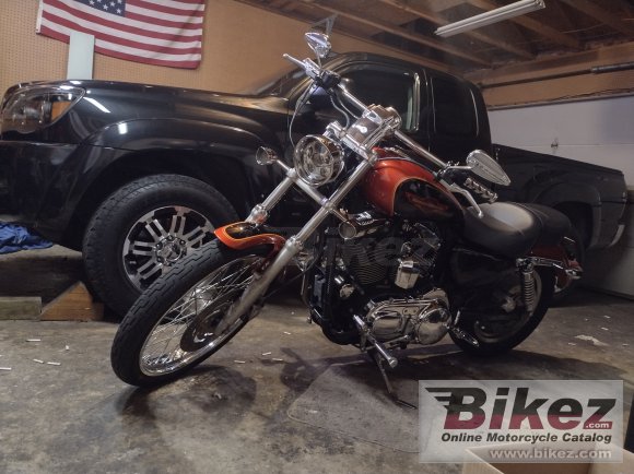 2005 Harley-Davidson XL 1200 C Sportster Custom