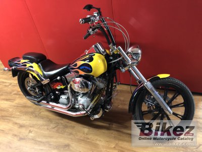 2006 Harley-Davidson FXSTI Softail Standard
