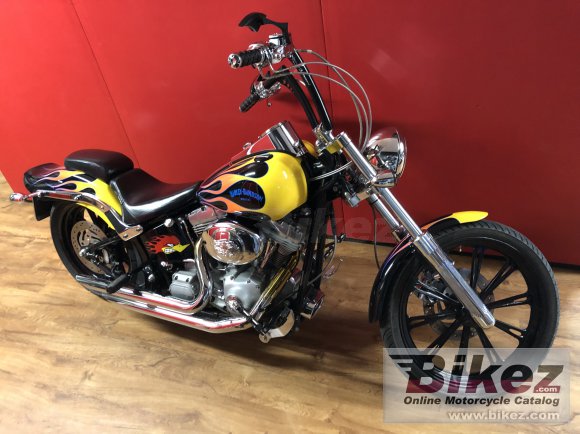 2006 Harley-Davidson FXSTI Softail Standard