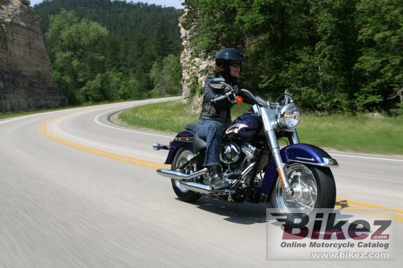 2006 Harley-Davidson FLSTI Heritage Softail