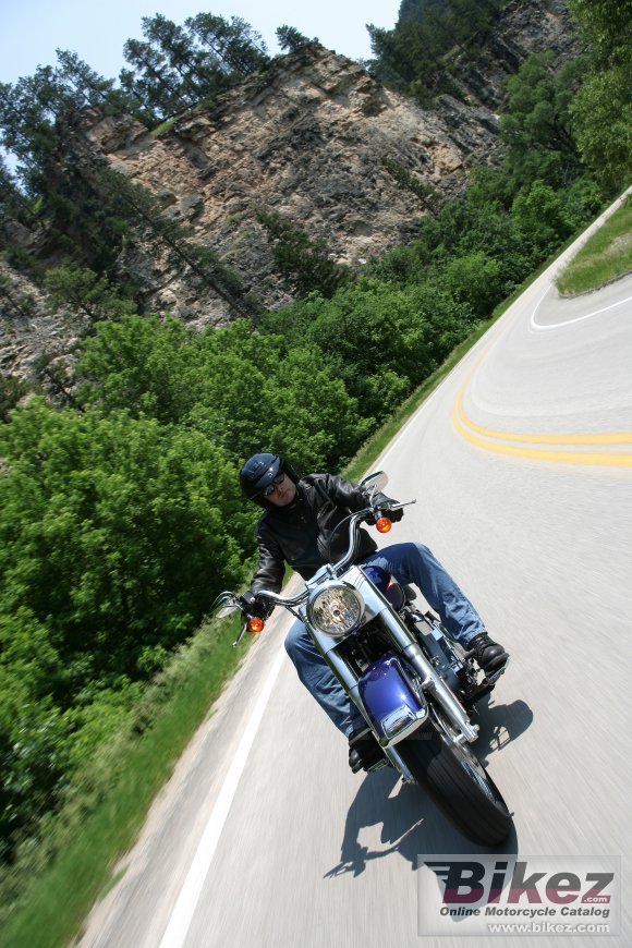 2006 Harley-Davidson FLSTI Heritage Softail