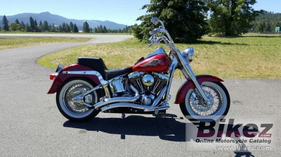 2006 Harley-Davidson FLSTFI Fat Boy