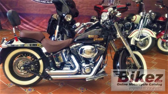 2006 Harley-Davidson FLSTFI Fat Boy