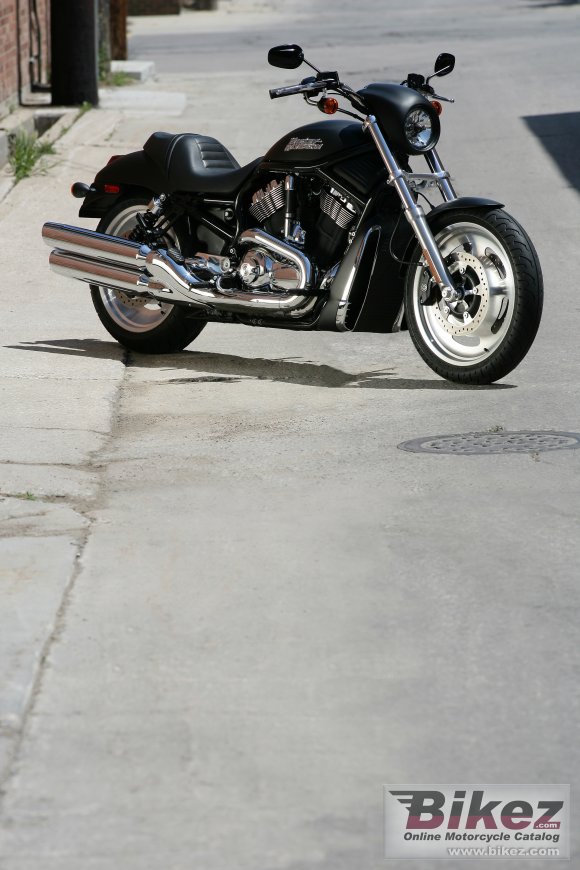 2006 Harley-Davidson VRSCD Night Rod
