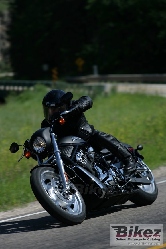 2006 Harley-Davidson VRSCD Night Rod