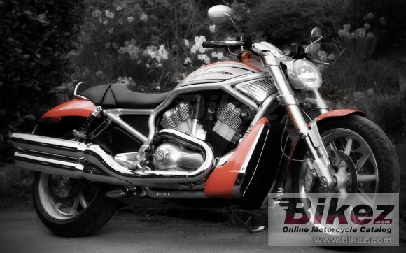2006 Harley-Davidson VRSCR Street Rod