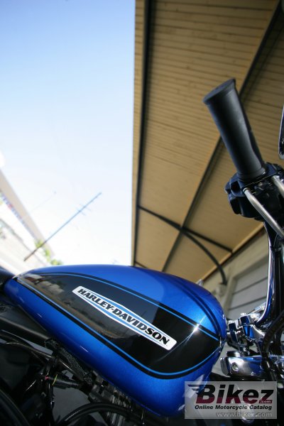 2007 Harley-Davidson XL1200R Sportster Roadster