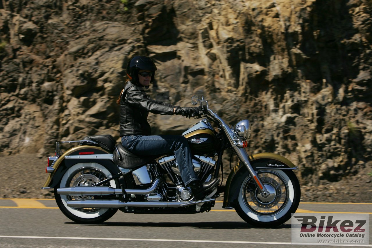 Harley-Davidson FLSTN Softail Deluxe