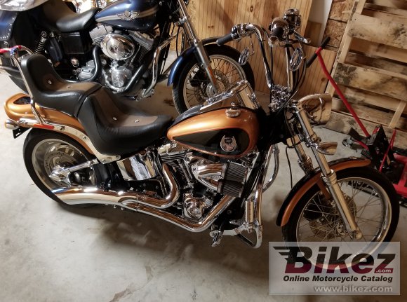 2008 Harley-Davidson FXSTC Softail Custom