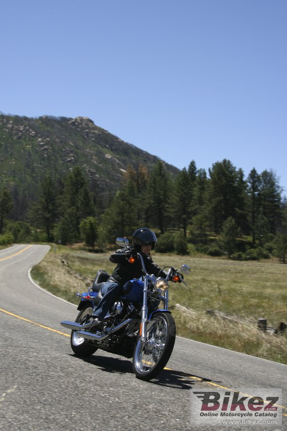 2008 Harley-Davidson FXSTC Softail Custom