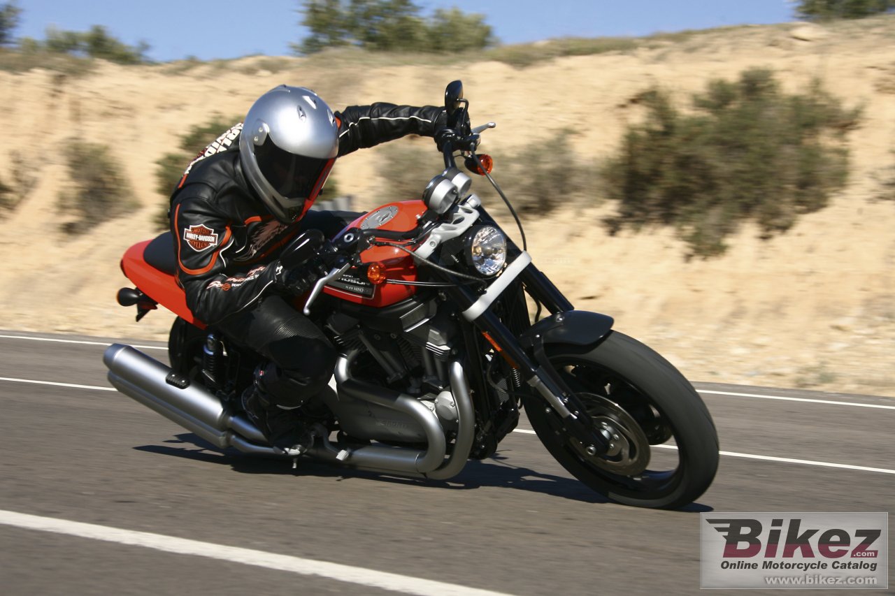 Harley-Davidson XL 1200R Sportster 1200 Roadster (XR 1200)