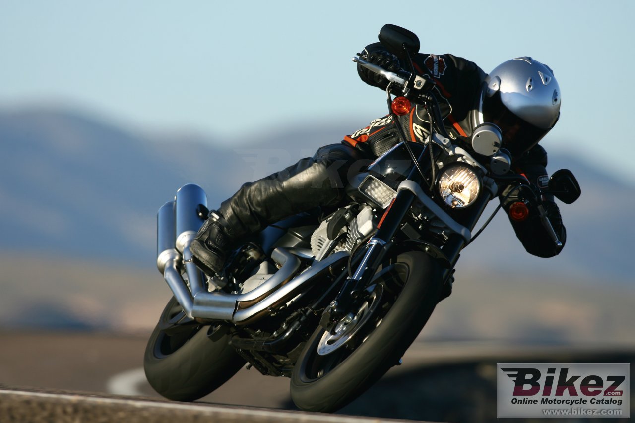 Harley-Davidson XL 1200R Sportster 1200 Roadster (XR 1200)