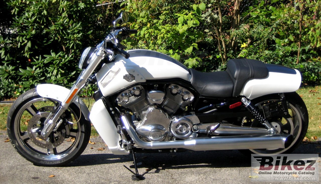 Harley-Davidson VRSCF V-Rod Muscle