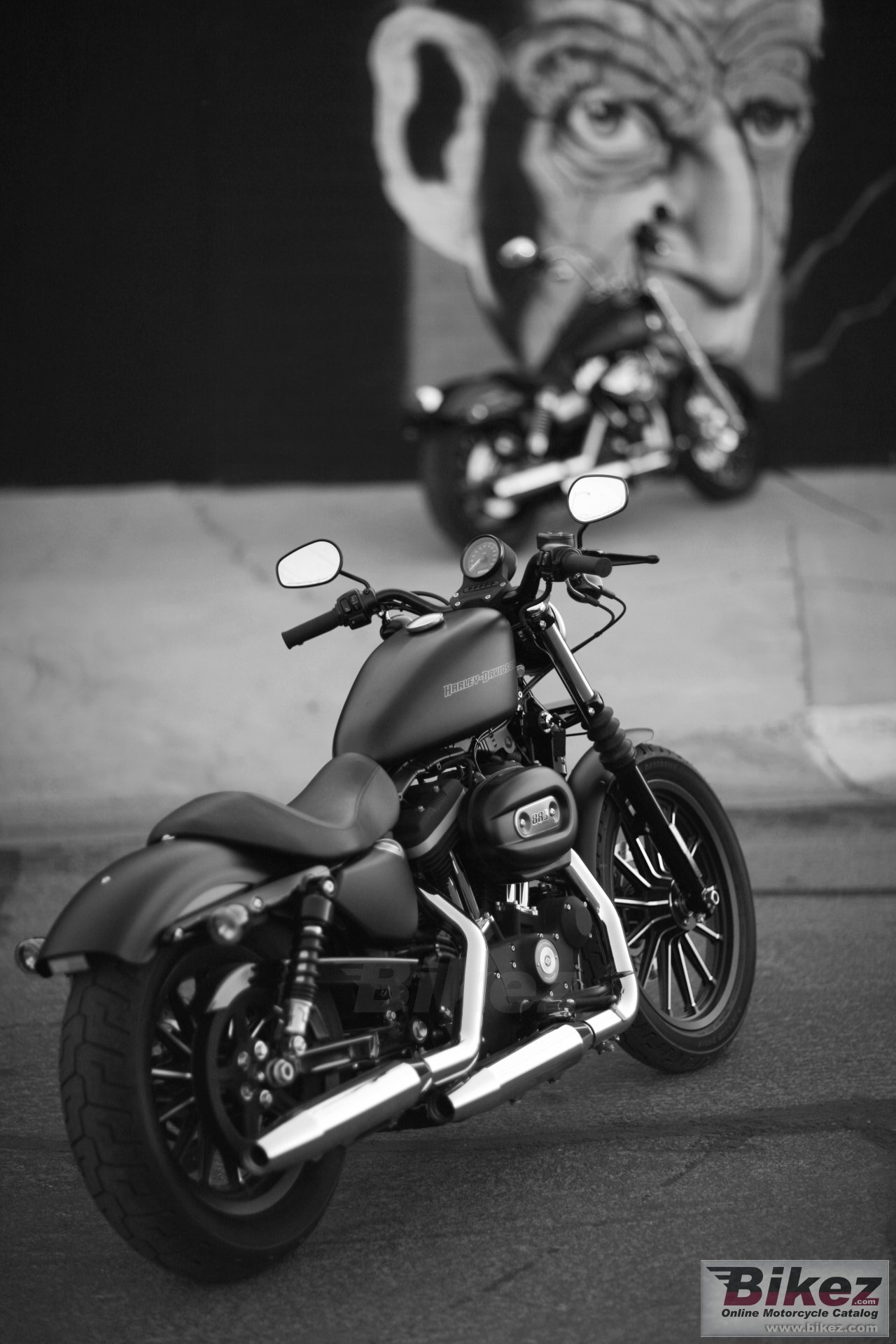 Harley-Davidson Sportster XL 883N Iron 883