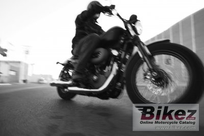 2010 Harley-Davidson XL 1200N Sportster 1200 Nightster