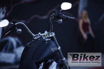 2010 Harley-Davidson FXDB Street Bob