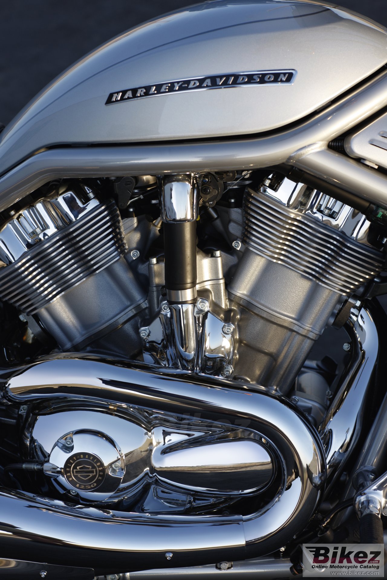 Harley-Davidson VRSCAW V-Rod