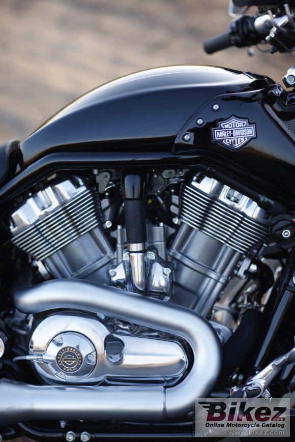 2010 Harley-Davidson VRSCF V-Rod Muscle