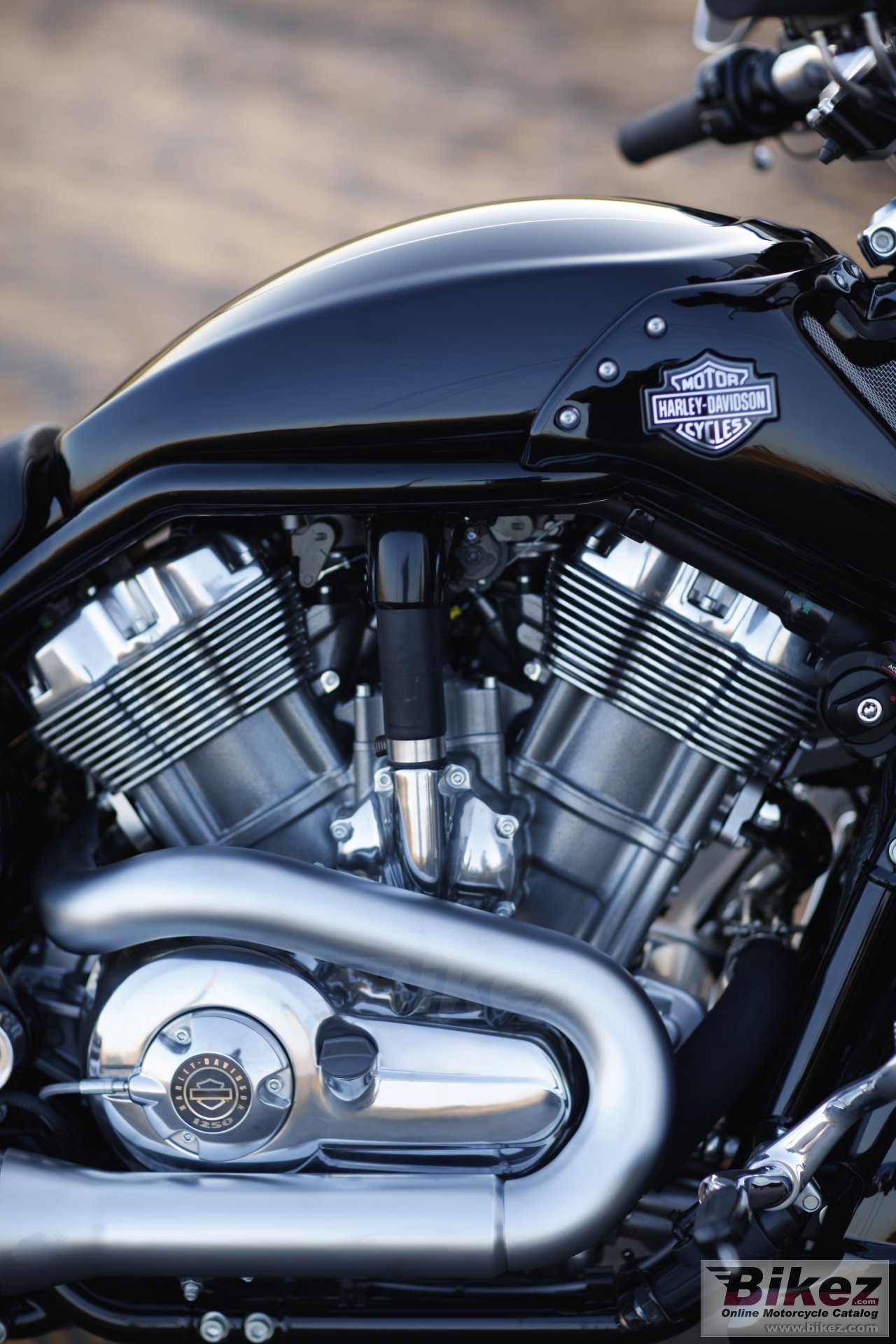 Harley-Davidson VRSCF V-Rod Muscle