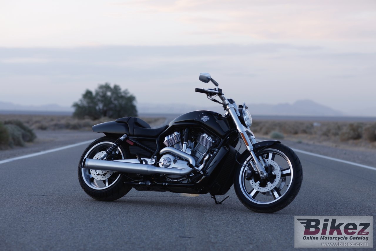 Harley-Davidson VRSCF V-Rod Muscle