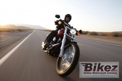2010 Harley-Davidson FXDWG Dyna Wide Glide
