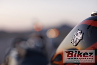 2010 Harley-Davidson FXDWG Dyna Wide Glide
