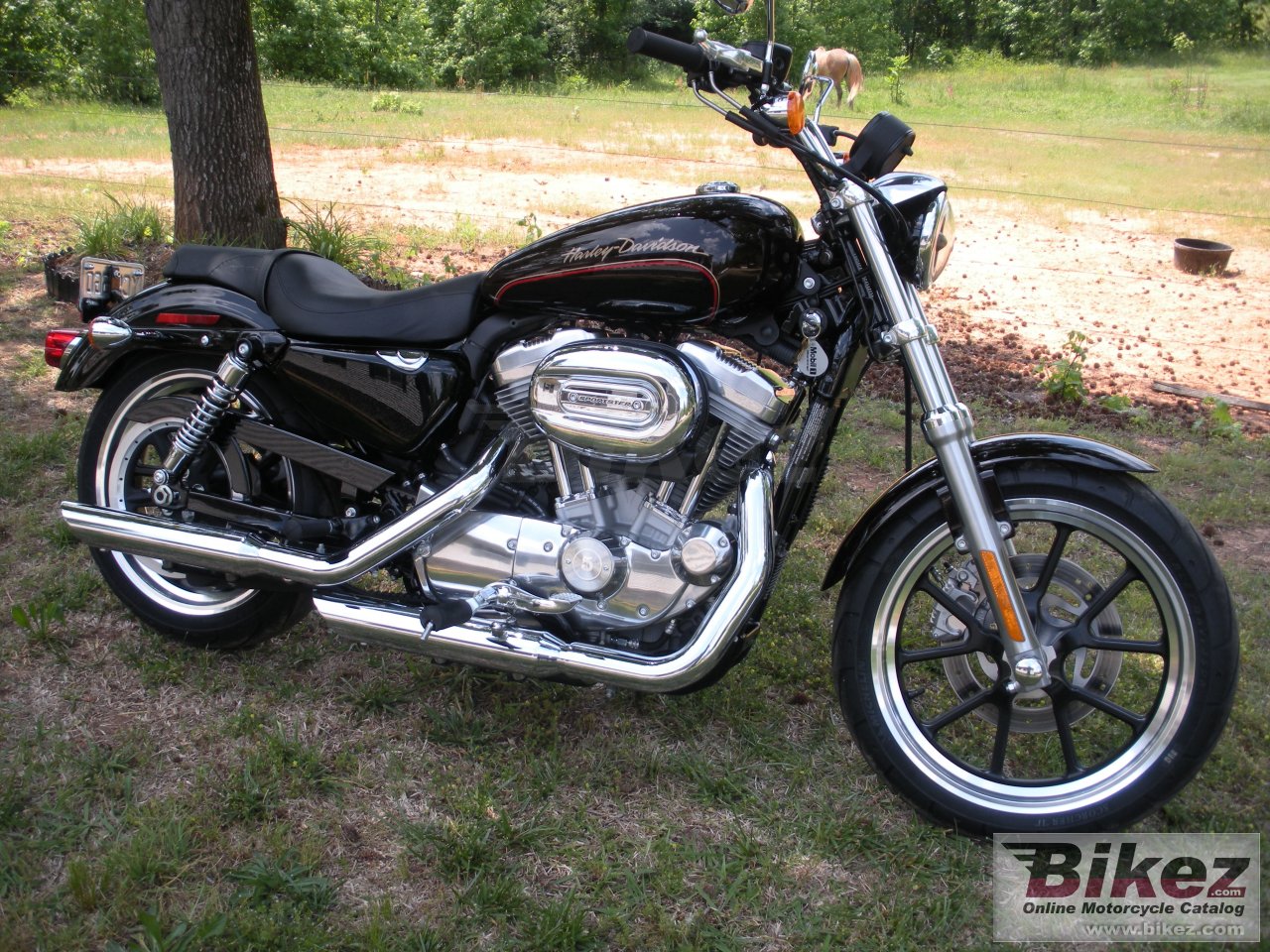 Harley-Davidson XL 883L Sportster 883 SuperLow